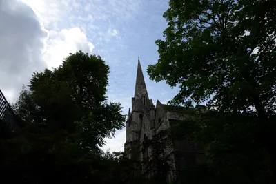 DSC_2768 (Large).JPG